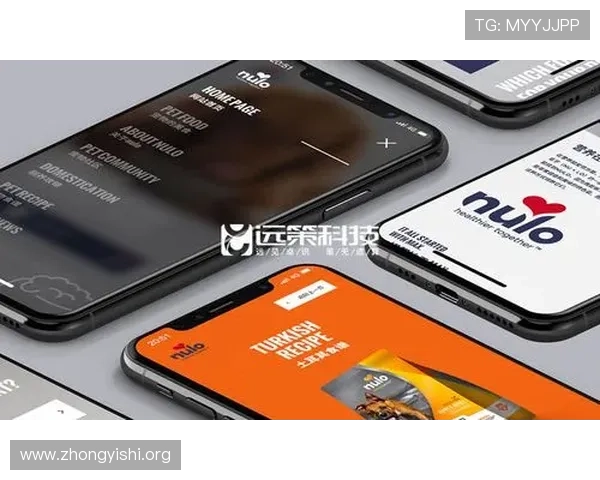 壹号网站登录入口常见问题及安全登录技巧介绍