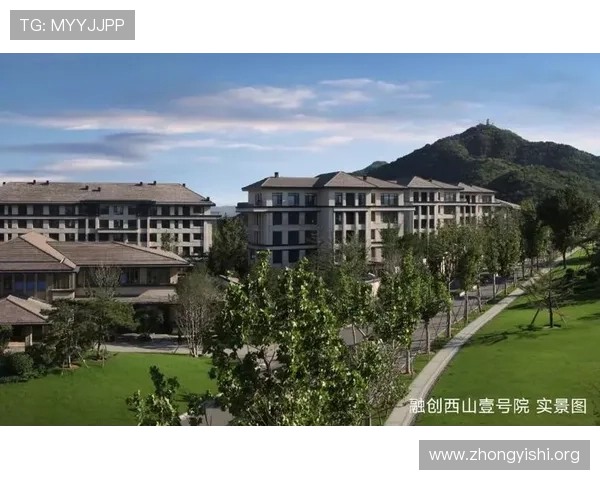 壹号集团:引领行业创新发展的领军企业,打造多元化商业生态系统